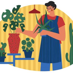 Indoor Plants Care Illustration