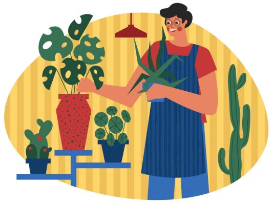 Indoor Plants Care Illustration